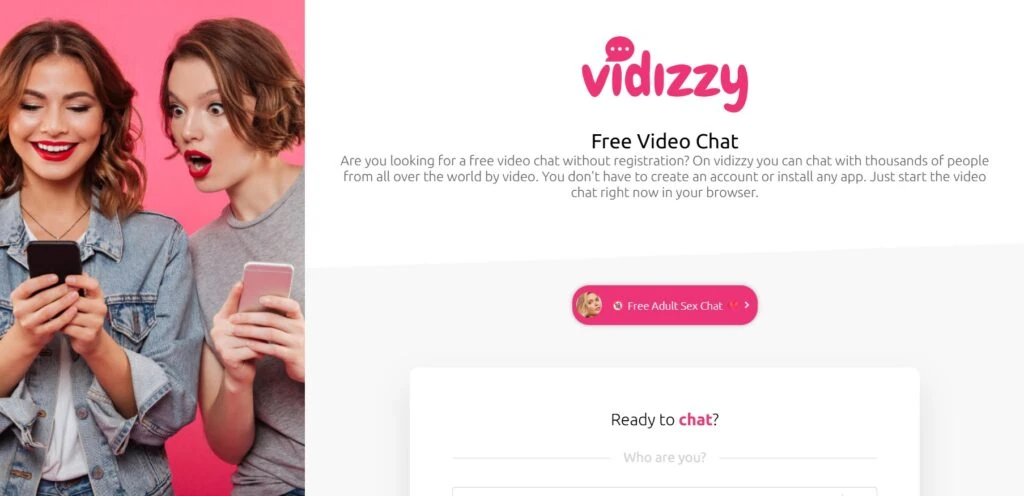 vidizzy interface